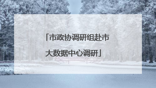 市政协调研组赴市大数据中心调研