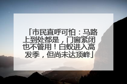 市民直呼可怕：马路上到处都是，门窗紧闭也不管用！白蚁进入高发季，但尚未达顶峰