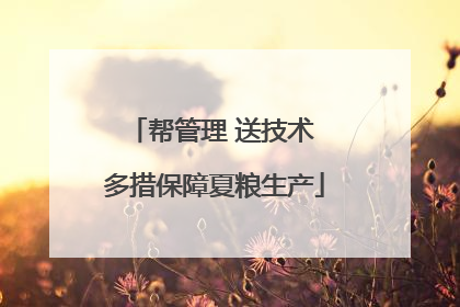 帮管理 送技术 多措保障夏粮生产