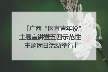 广西“区直青年说”主题宣讲暨五四示范性主题团日活动举行