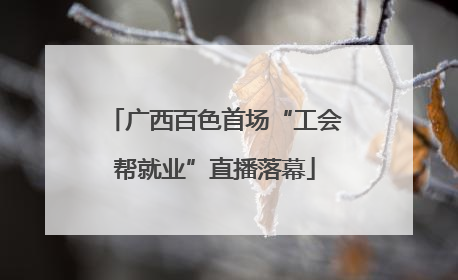 广西百色首场“工会帮就业”直播落幕