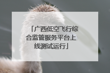 广西低空飞行综合监管服务平台上线测试运行