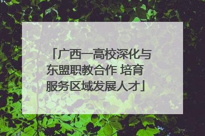 广西一高校深化与东盟职教合作 培育服务区域发展人才