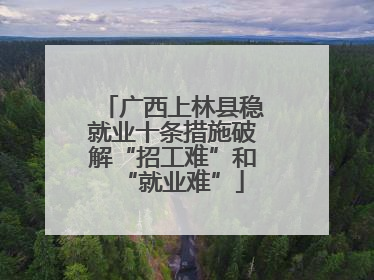 广西上林县稳就业十条措施破解“招工难”和“就业难”