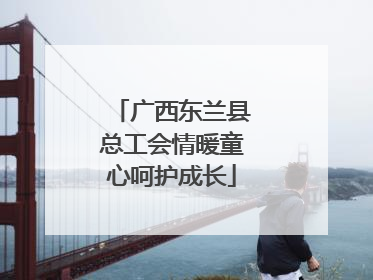 广西东兰县总工会情暖童心呵护成长