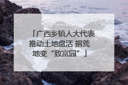 广西乡镇人大代表推动土地盘活 撂荒地变“致富园”
