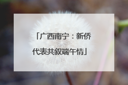 广西南宁：新侨代表共叙端午情