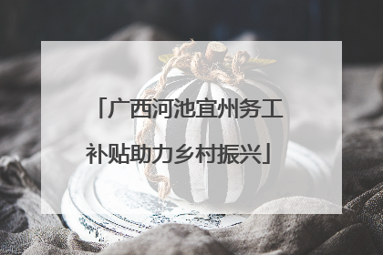 广西河池宜州务工补贴助力乡村振兴