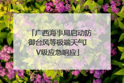 广西海事局启动防御台风等极端天气IV级应急响应