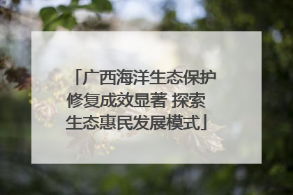 广西海洋生态保护修复成效显著 探索生态惠民发展模式