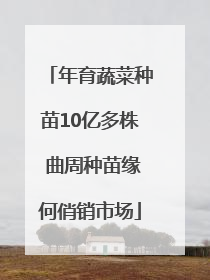 年育蔬菜种苗10亿多株 曲周种苗缘何俏销市场