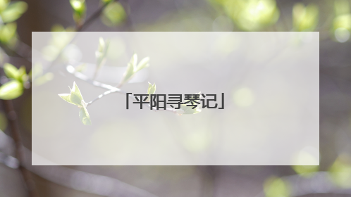 平阳寻琴记