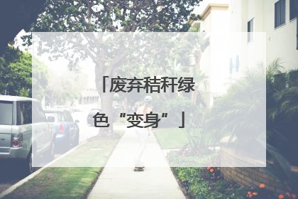 废弃秸秆绿色“变身”
