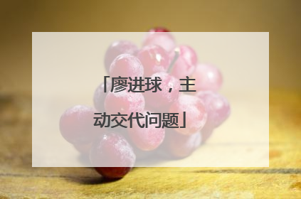 廖进球，主动交代问题