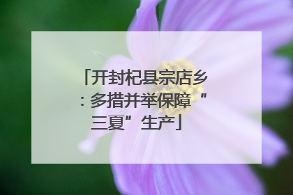 开封杞县宗店乡：多措并举保障“三夏”生产