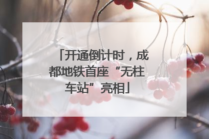 开通倒计时，成都地铁首座“无柱车站”亮相