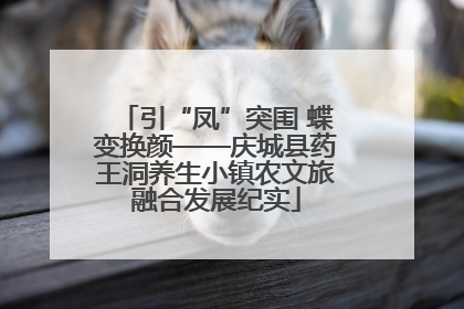 引“凤”突围 蝶变换颜——庆城县药王洞养生小镇农文旅融合发展纪实
