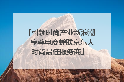 引领时尚产业新浪潮，宝尊电商蝉联京东大时尚最佳服务商