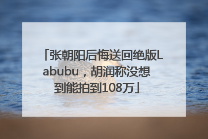 张朝阳后悔送回绝版Labubu,胡润称没想到能拍到108万