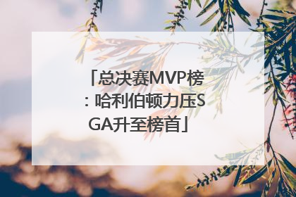 总决赛MVP榜：哈利伯顿力压SGA升至榜首