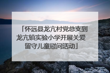 怀远县龙亢村党总支到龙亢镇实验小学开展关爱留守儿童慰问活动