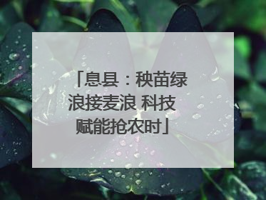 息县：秧苗绿浪接麦浪 科技赋能抢农时