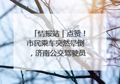 情报站｜点赞！市民乘车突然晕倒，济南公交驾驶员和乘客热心相助