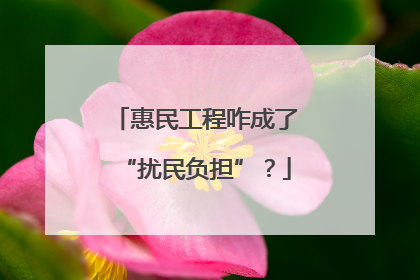 惠民工程咋成了“扰民负担”？