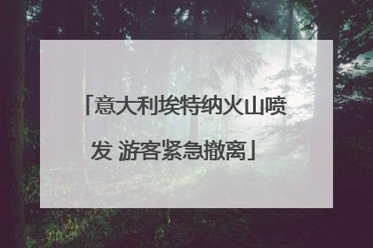 意大利埃特纳火山喷发 游客紧急撤离