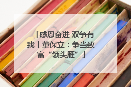 感恩奋进 双争有我丨董保立：争当致富“领头雁”