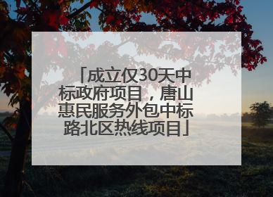 成立仅30天中标政府项目，唐山惠民服务外包中标路北区热线项目