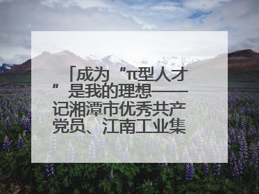 成为“π型人才”是我的理想——记湘潭市优秀共产党员、江南工业集团劳模杨斌