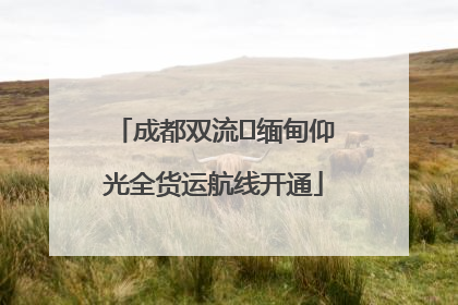 成都双流⇌缅甸仰光全货运航线开通
