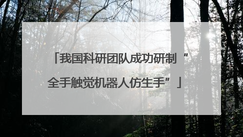 我国科研团队成功研制“全手触觉机器人仿生手”