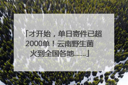 才开始，单日寄件已超2000单！云南野生菌火到全国各地……