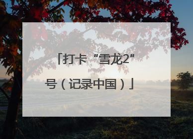 打卡“雪龙2”号（记录中国）