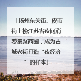 扬州东关街、皮市街上榜江苏省夜间消费集聚商圈，成为古城老街打造“夜经济”的样本