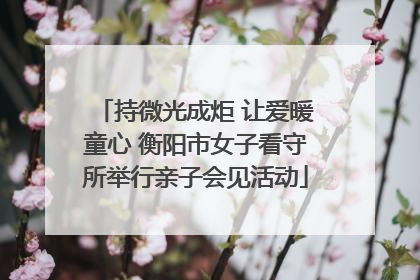 持微光成炬 让爱暖童心 衡阳市女子看守所举行亲子会见活动