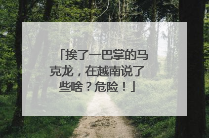 挨了一巴掌的马克龙，在越南说了些啥？危险！