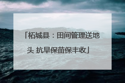 柘城县：田间管理送地头 抗旱保苗保丰收