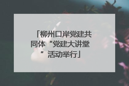 柳州口岸党建共同体“党建大讲堂”活动举行