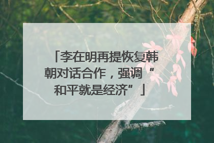 李在明再提恢复韩朝对话合作，强调“和平就是经济”