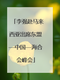 李强赴马来西亚出席东盟—中国—海合会峰会