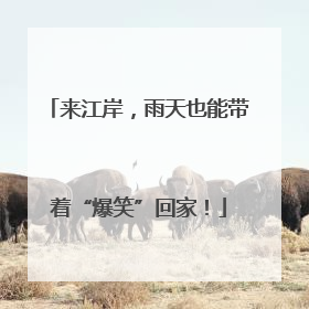 来江岸，雨天也能带着“爆笑”回家！