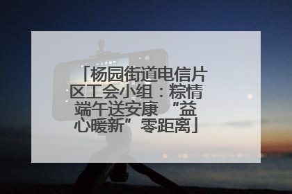 杨园街道电信片区工会小组：粽情端午送安康 “益心暖新”零距离