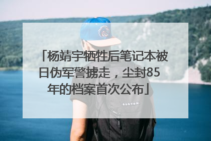 杨靖宇牺牲后笔记本被日伪军警掳走，尘封85年的档案首次公布