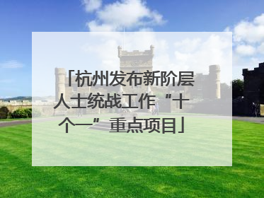 杭州发布新阶层人士统战工作“十个一”重点项目