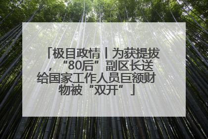 极目政情丨为获提拔，“80后”副区长送给国家工作人员巨额财物被“双开”