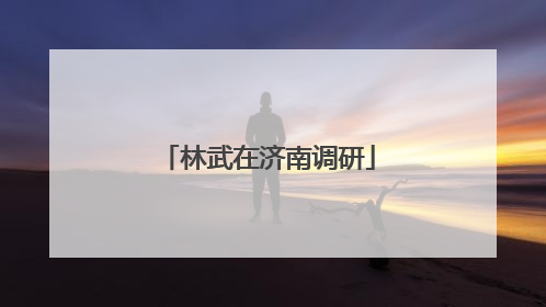 林武在济南调研
