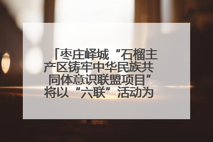 枣庄峄城“石榴主产区铸牢中华民族共同体意识联盟项目”将以“六联”活动为抓手深化品牌建设